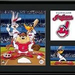 Gildan, Shirts, Chicago Cubs X Warner Bross Looney Tunes Cartoon Major  League Baseball Mlb Ls Sw